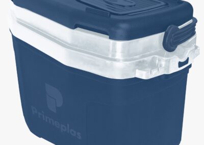 Caixa Térmica 32 l azul